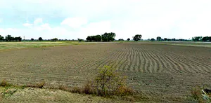 Anupgarh, Rajasthan 335701, India preview 2