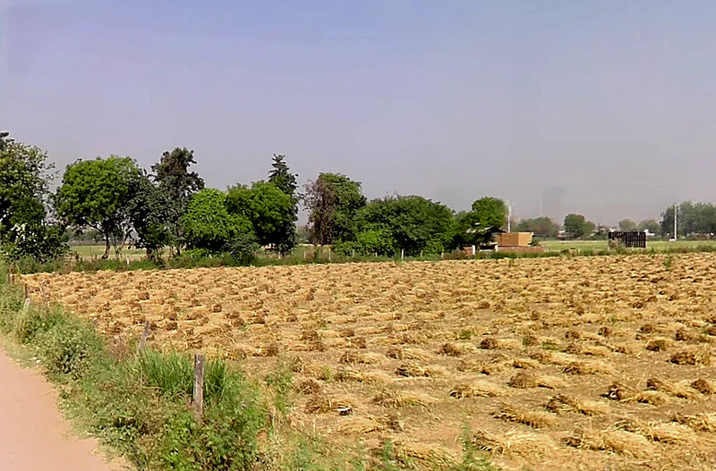 Kadarpur, Haryana, India preview 2