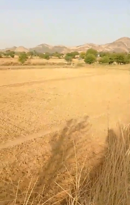 135/7, Raiseena, Haryana 122102, India
