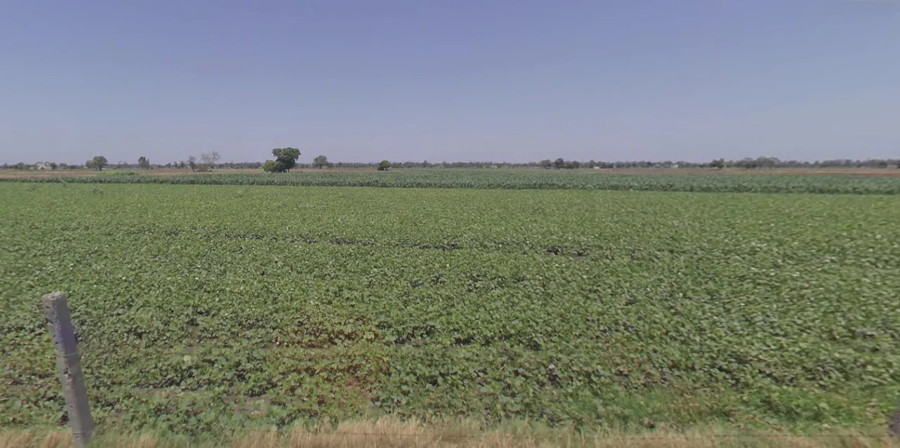 Rampura Phul, Punjab, India preview 3