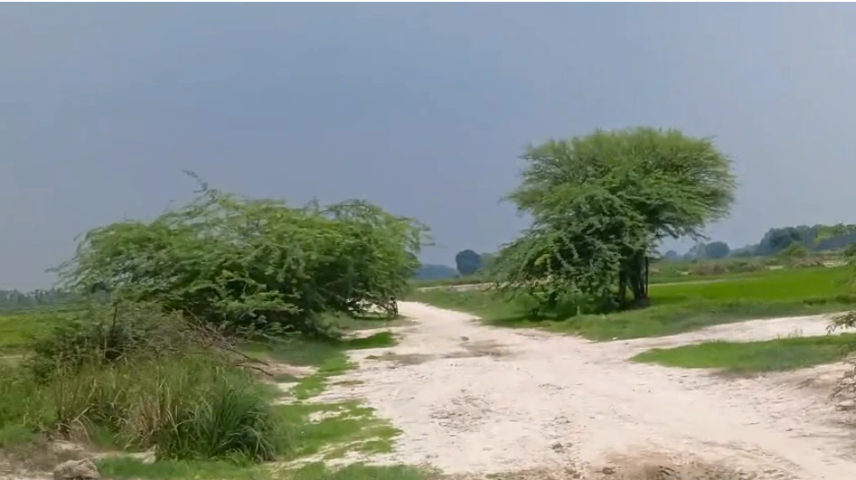 GPQH+H8H, Unnao, Manika Pur, Uttar Pradesh, India