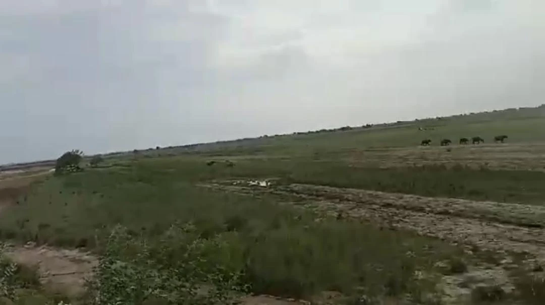 Naubatpur, Bihar 801109, India