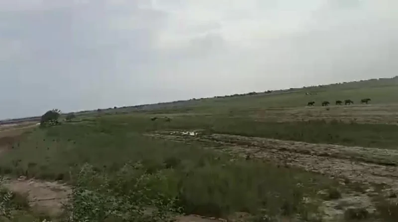 Naubatpur, Bihar 801109, India preview 4