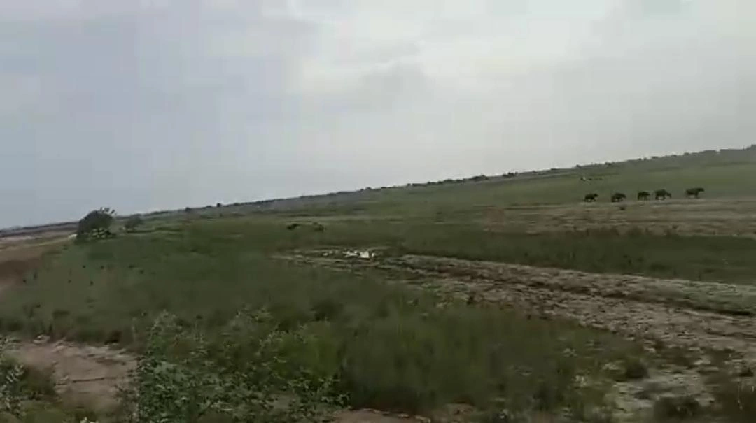 Naubatpur, Bihar 801109, India