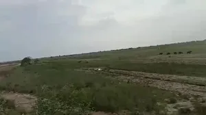 Naubatpur, Bihar 801109, India preview 4