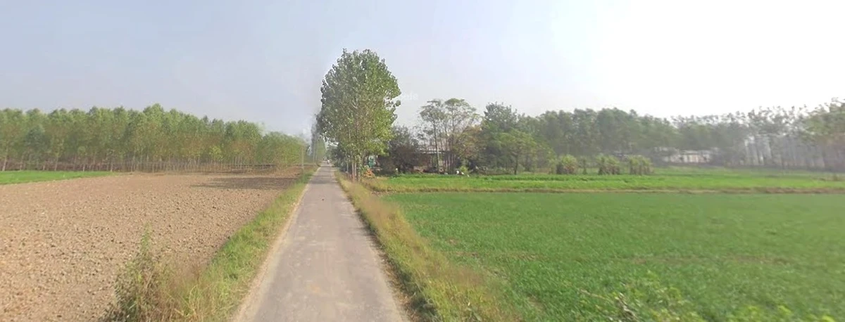 Jhajjar, Haryana 124103, India
