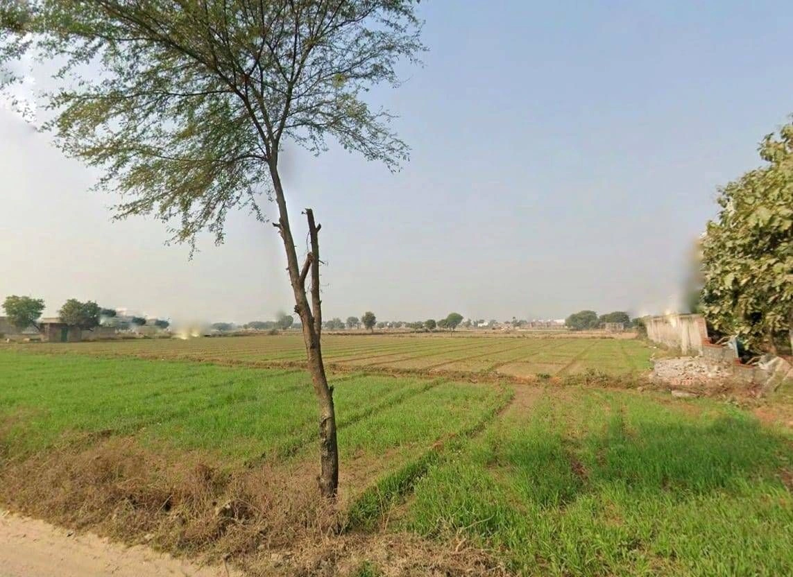 GPG8+WP3, Dhadholi, Rajasthan 301030, India