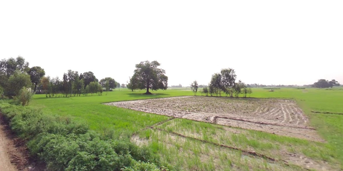 Tilawad Govind, Madhya Pradesh 465110, India