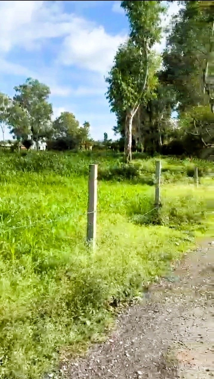 Kalyanpur, Dehradun, Vikasnagar, Uttarakhand 248198, India