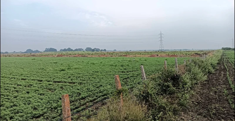 Hiriyur, Karnataka, India preview 2