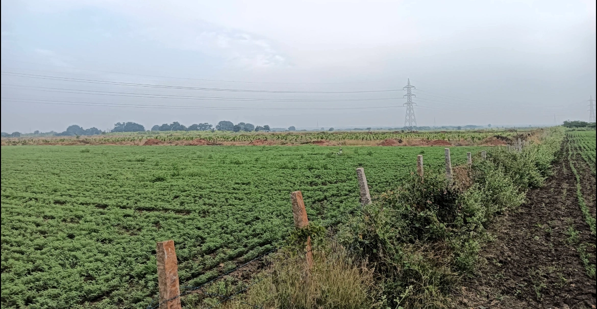 Hiriyur, Karnataka, India