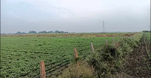 Hiriyur, Karnataka, India preview 2