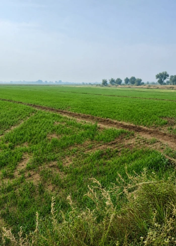 M9VG+33P, Hanumangarh, Lilanwali, Rajasthan 335065, India