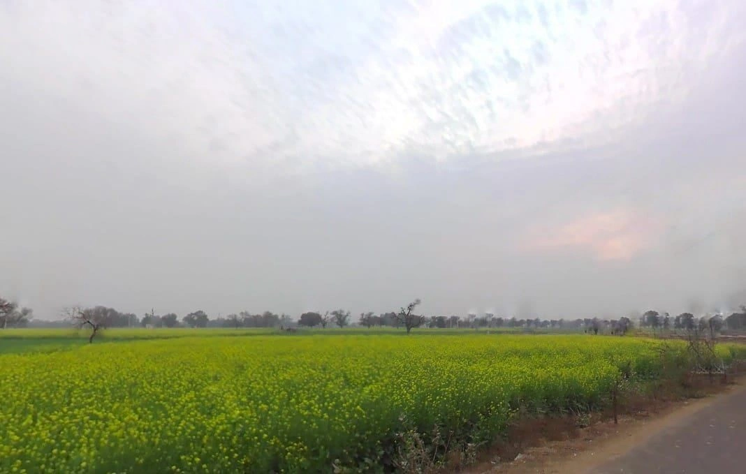 Jawli, Rajasthan 321607, India