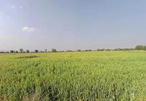 Pali, Rajasthan 301001, India preview 3
