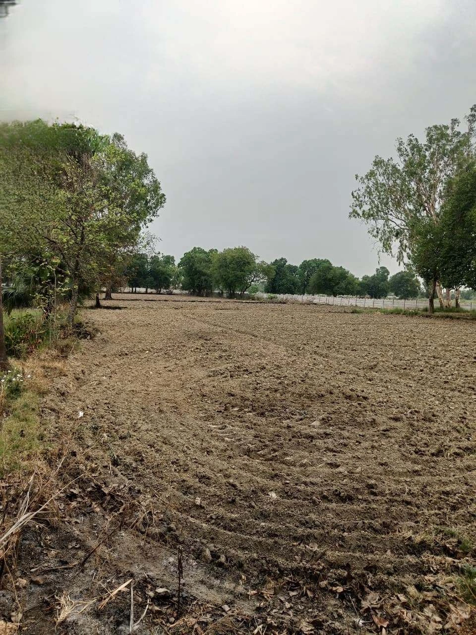 Chandauri, Uttar Pradesh, India