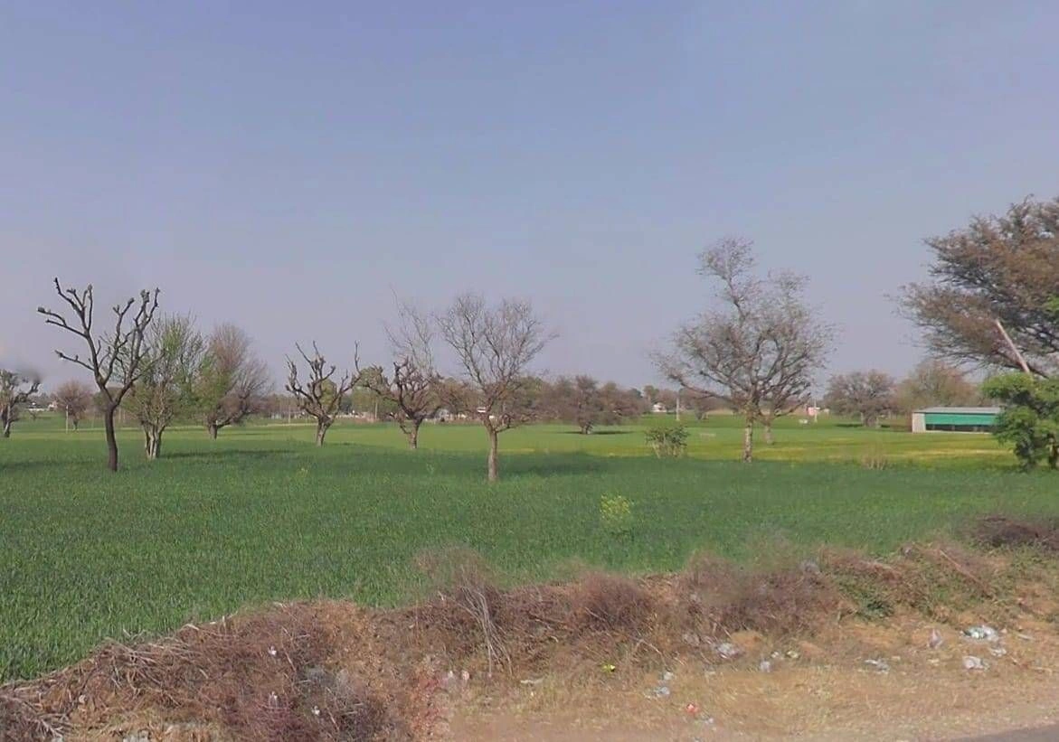 Danta Ramgarh - Ringus Rd, Rajasthan, India preview 3