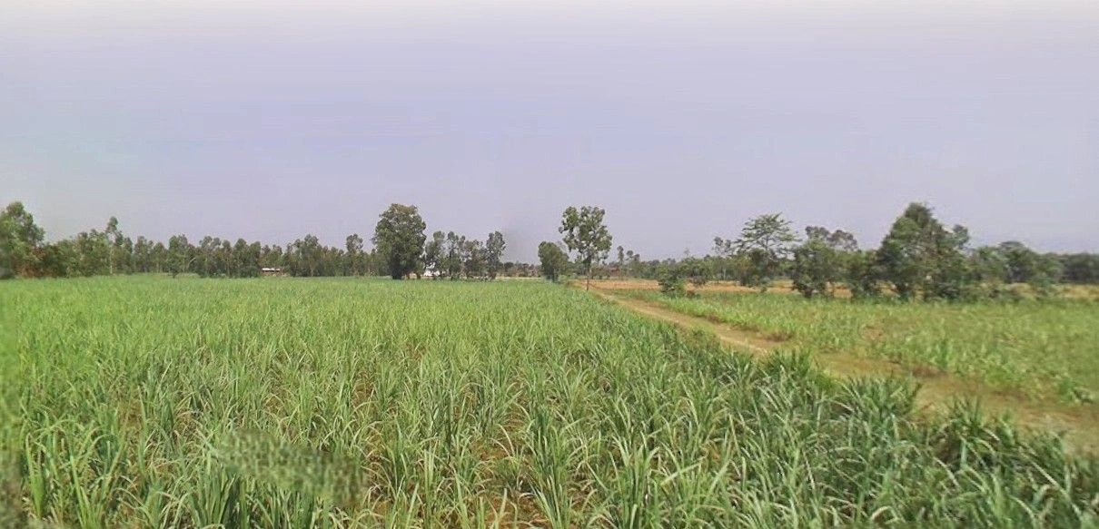 Khurja, Uttar Pradesh 203131, India