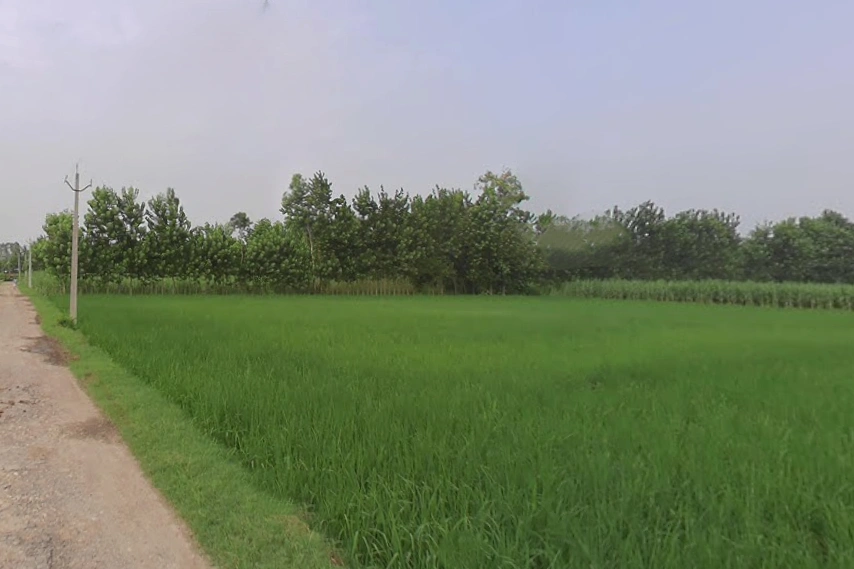 Sarsawa, Uttar Pradesh 247232, India