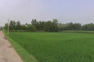 Sarsawa, Uttar Pradesh 247232, India preview 2