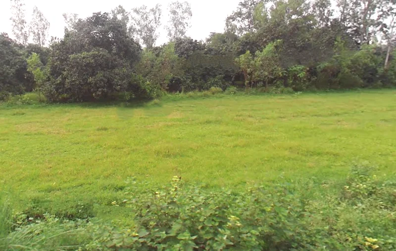 Behat, Uttar Pradesh 247121, India preview 3