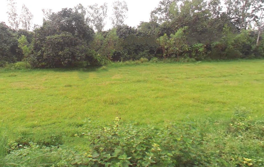 Behat, Uttar Pradesh 247121, India