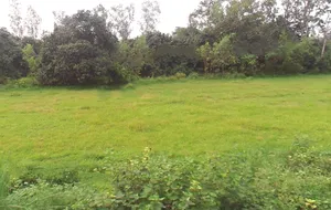 Behat, Uttar Pradesh 247121, India preview 3