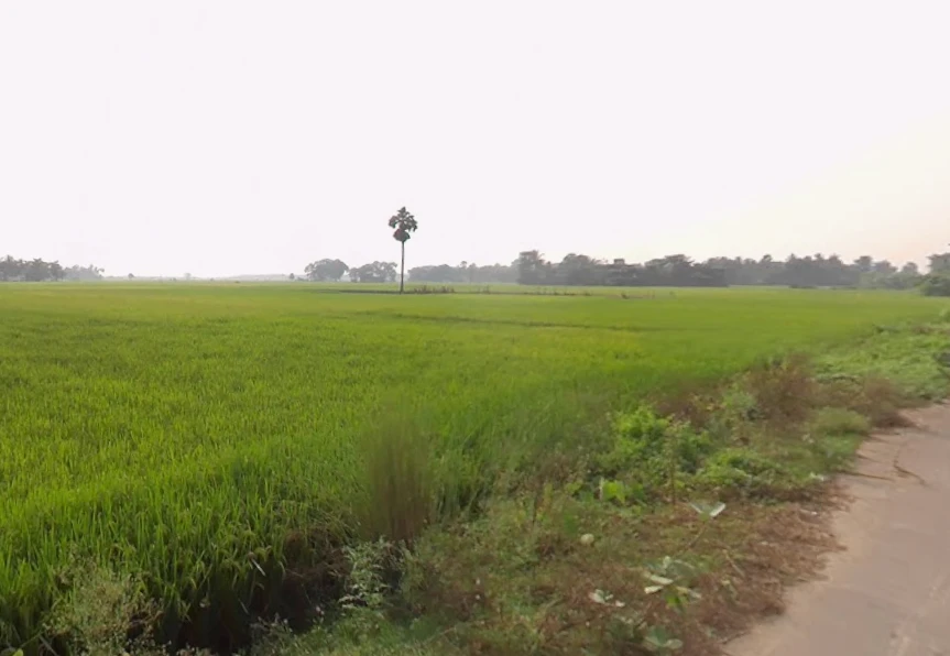 Golpark, Hindustan Park, Gariahat, Kolkata, West Bengal, India