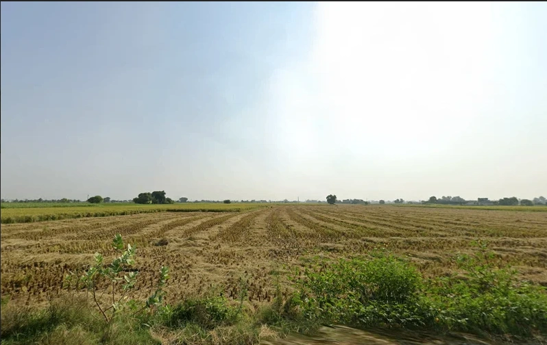 Ghanaur, Punjab 140702, India