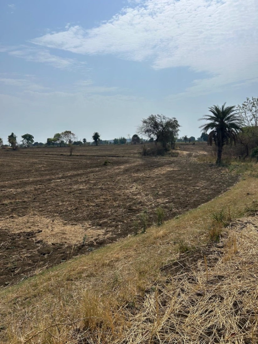 Taraisewaniya, Madhya Pradesh 462036, India