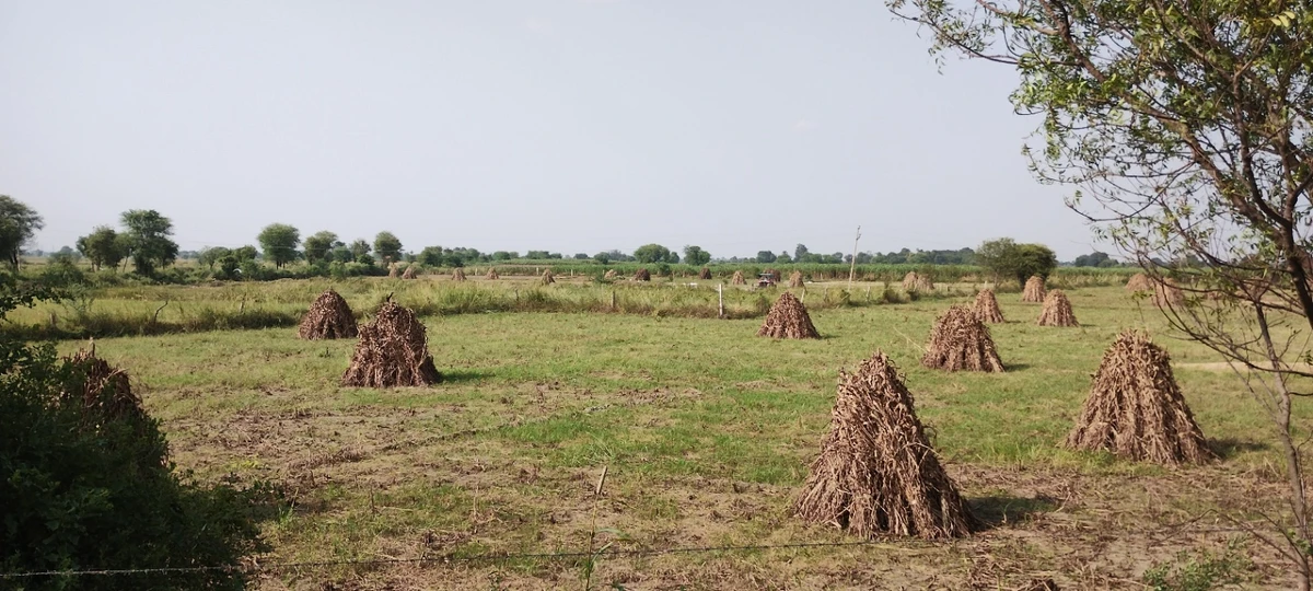 Nagla Chahar, Rajasthan 321203, India