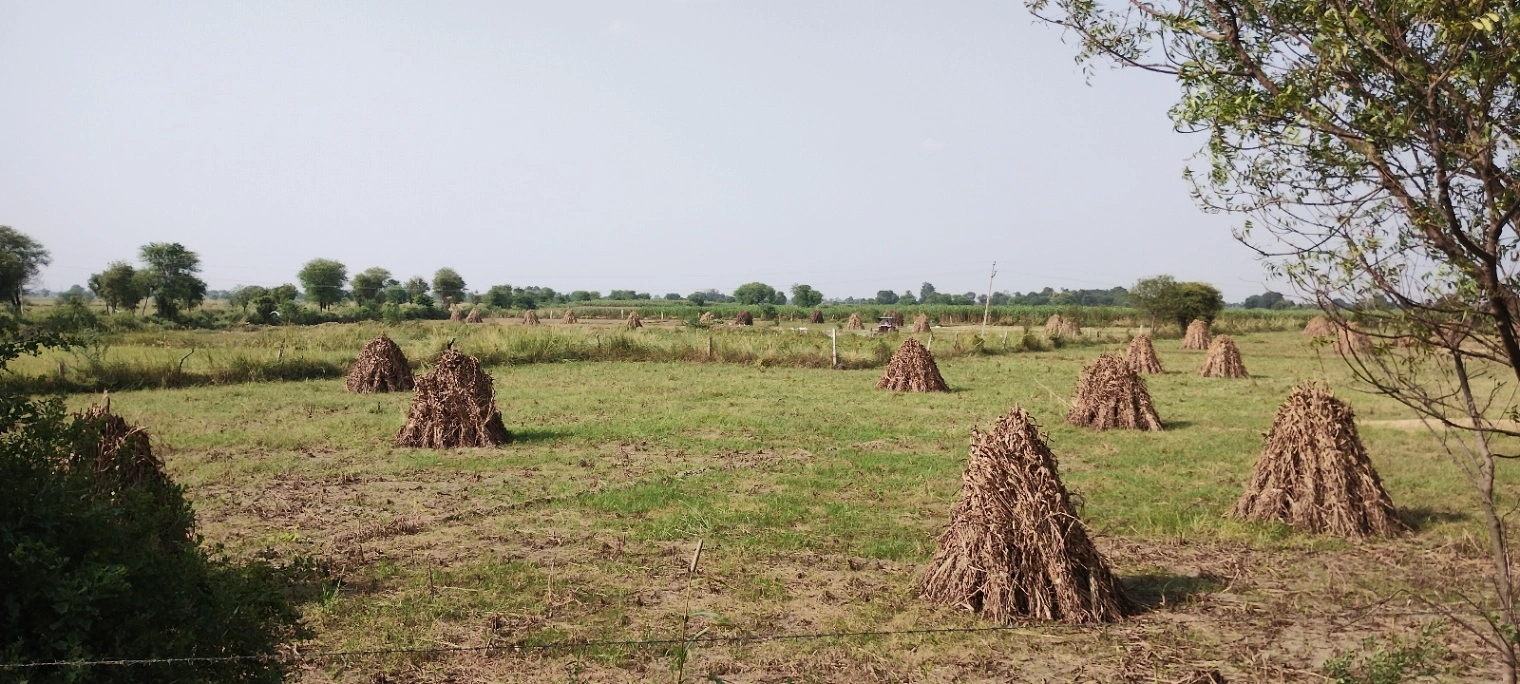 Nagla Chahar, Rajasthan 321203, India