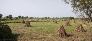 Nagla Chahar, Rajasthan 321203, India preview 4