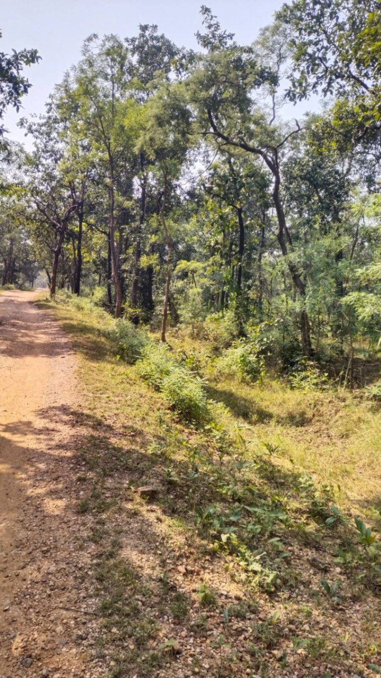 Kamti, Madhya Pradesh 487551, India
