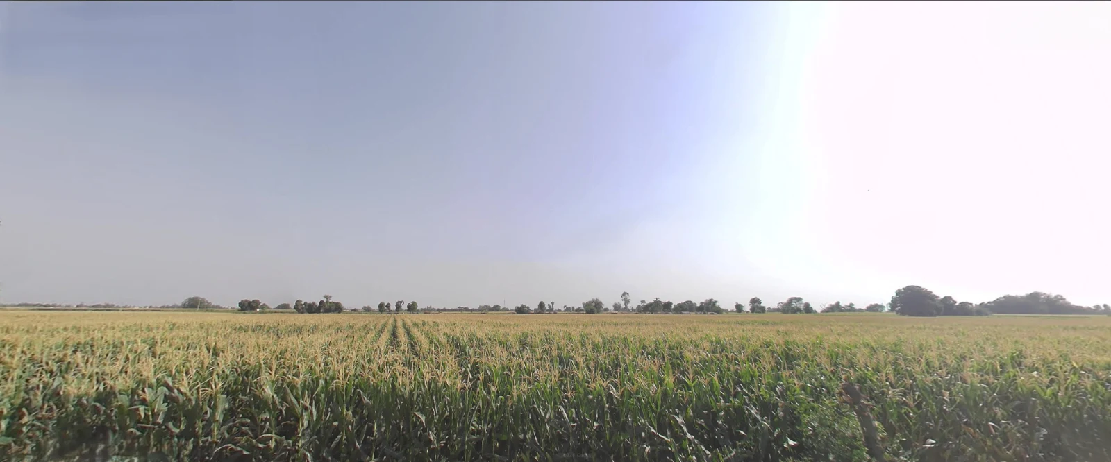 Jwalapur, Uttarakhand, India
