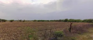 Laksar, Uttarakhand 247663, India preview 2