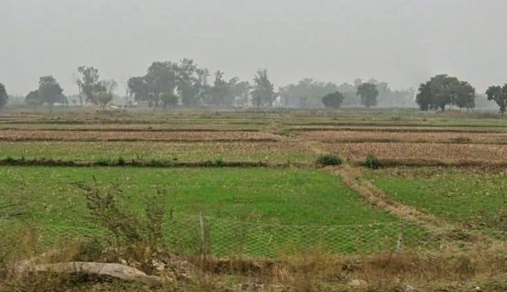 XM2P+JFJ, Sohagi, Madhya Pradesh 486226, India