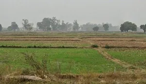 XM2P+JFJ, Sohagi, Madhya Pradesh 486226, India preview 2