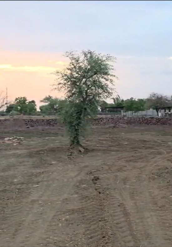 FVWP+79W, Madankhedi, Madhya Pradesh 464001, India