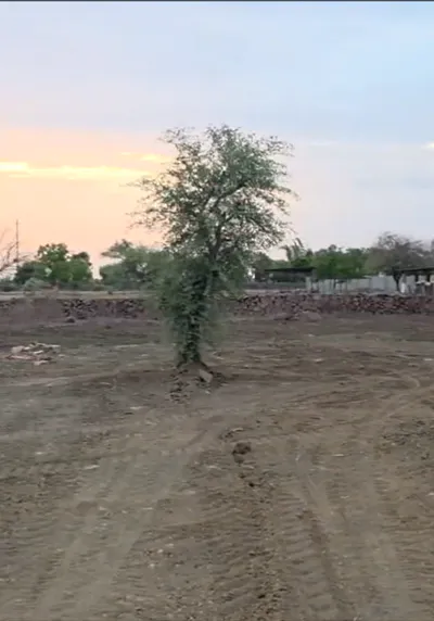 FVWP+79W, Madankhedi, Madhya Pradesh 464001, India preview 2