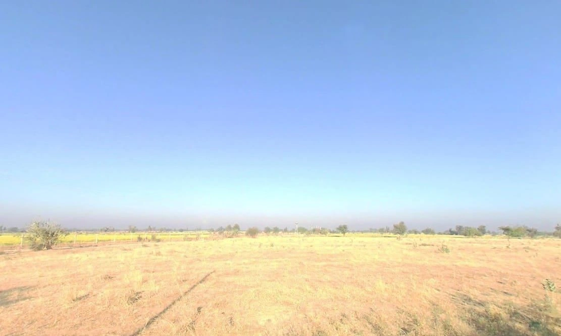 V5VM+67M, Bandai, Rajasthan 306421, India