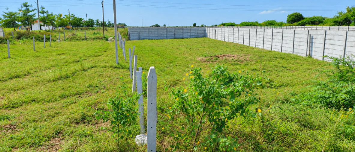 J6WP+F92, Sangareddy, Chintalcheru, Telangana 502296, India