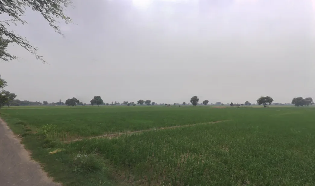 Bodiwali, Haryana 125050, India preview 3