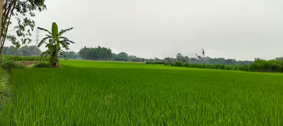 Hisar, Haryana, India preview 2