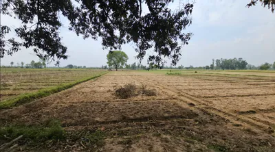Rayla, Rajasthan 313603, India preview 2