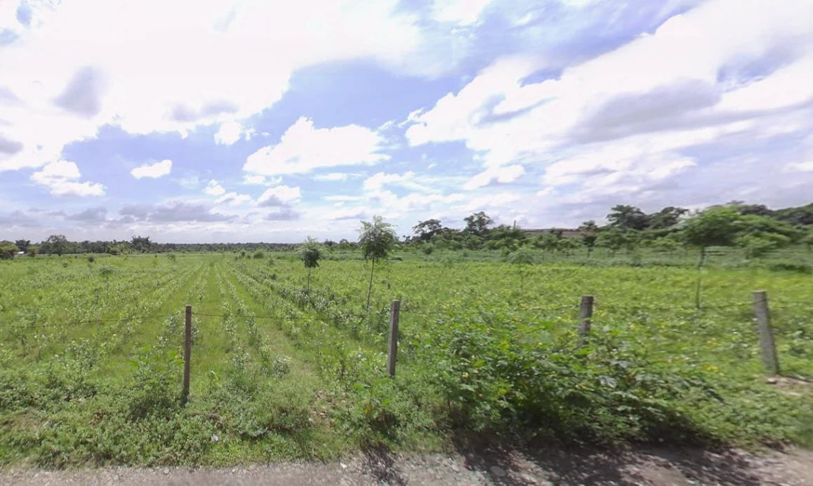 Mal Bazar, West Bengal 735221, India