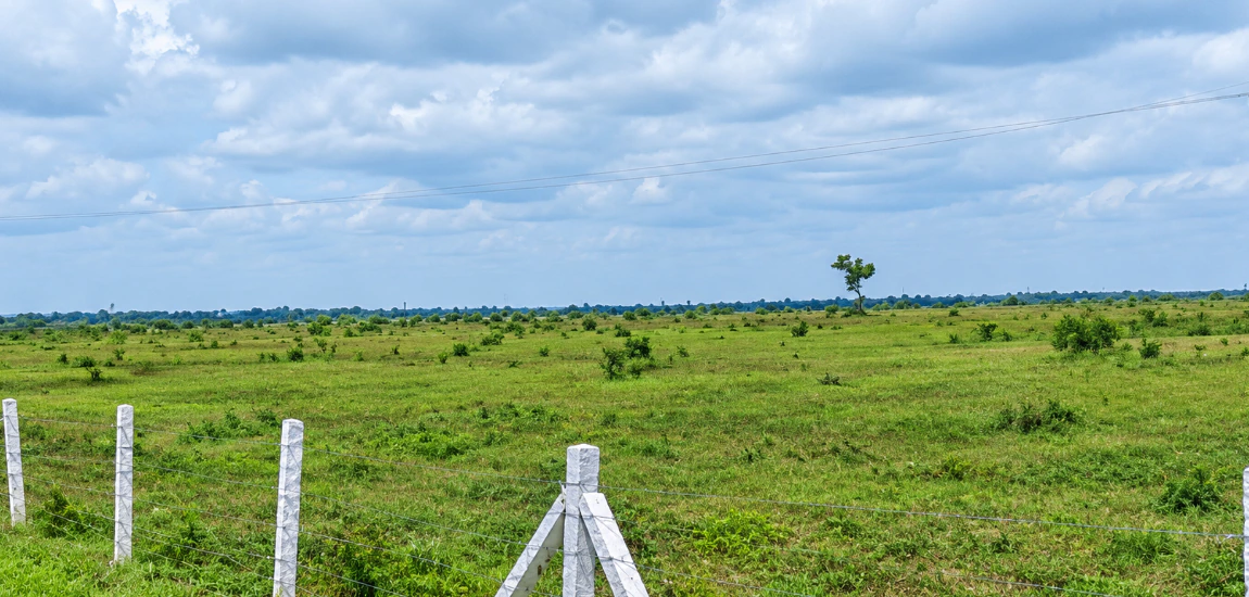 2P62+526, Narayanpet, Pusalpahad, Telangana, India - Photo 2