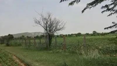 56VP+VW3, Yamunanagar, Kail, Haryana 135003, India preview 3