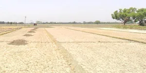 Seoni, Madhya Pradesh 480661, India preview 3