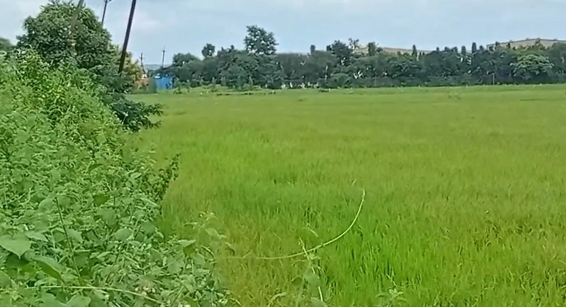 4HQJ+8HP, Rojda Chak, Madhya Pradesh, India